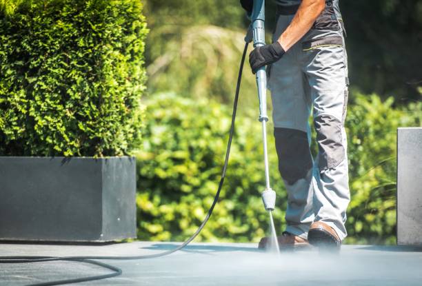 Best Sign and Awning Cleaning  in Daingerfield, TX