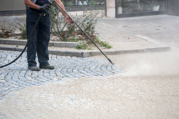 Best Winterizing Services  in Daingerfield, TX